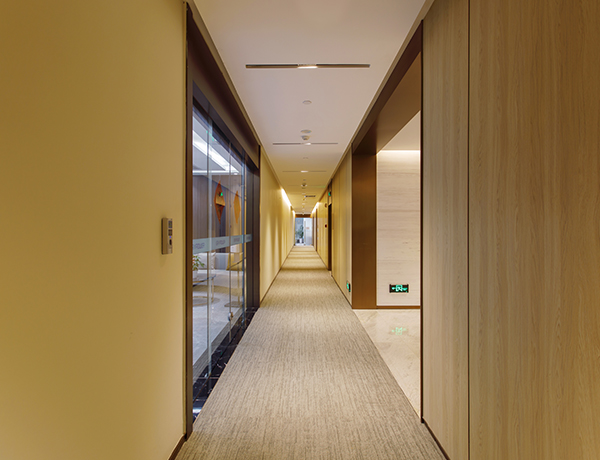 4.5 மிமீ தீ தடுப்பு பலகை